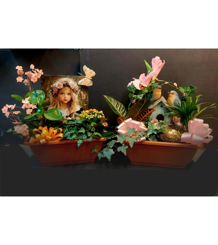 MIXED PLANTS - Deluxe. An arrangement by Grower Direct Acadia.