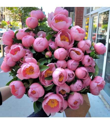 Pink Peony Embrace. An arrangement by Grace Floral Design Barrie.