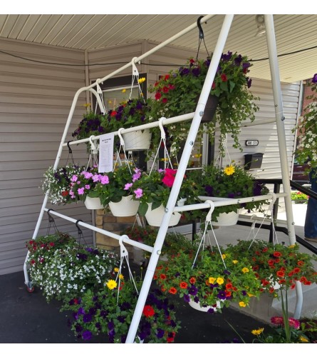 Hanging Annual Baskets 10 pots. An arrangement by Weaver the Florist and Gifts.