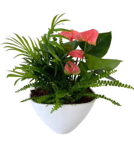 Medium Eileen White Planter Garden. An arrangement by Floratechnics.