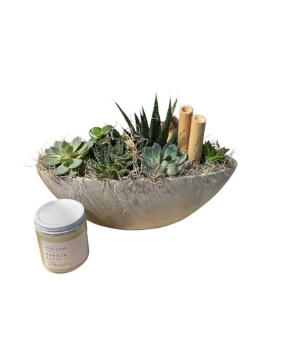 Stone Succulent Boat - Deluxe. An arrangement by Loyalist Flowers.