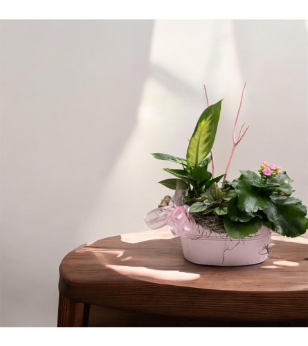 Pretty In Pink Dish Garden. An arrangement by Marianna's Flower Island.