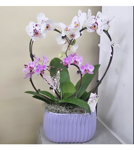 Mommy and Me Orchid Planter. An arrangement by Petal Pushers Flower and Gift Shop.