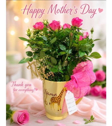 Mom's Mini Rose Delight. An arrangement by Geni's Florist and Gifts.