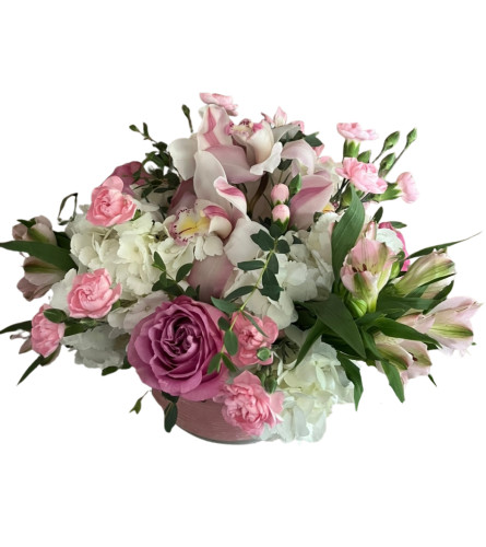 Sweet Rosette Garden. An arrangement by Goodman's Florist.