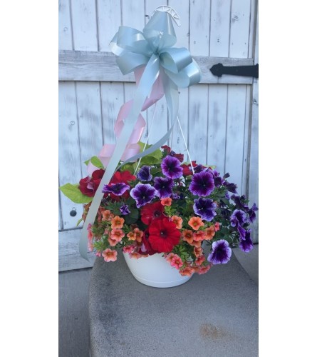 Blooming Hanging Plant Basket. An arrangement by Conrad Floral.