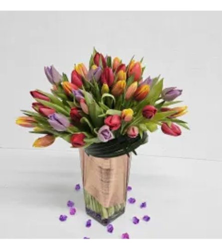 Exclusive Tulips - Deluxe. An arrangement by Brickell Exclusive Blooms.