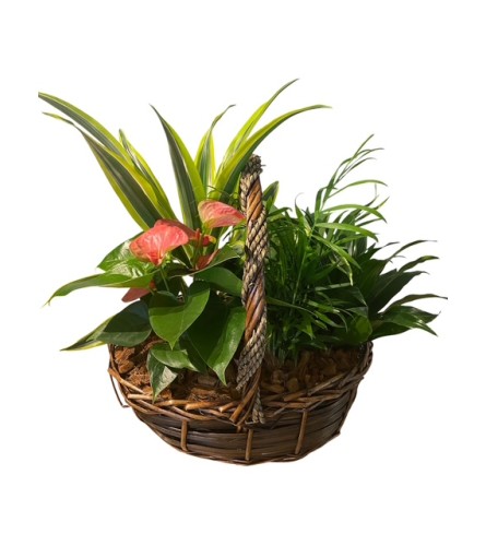 Braided Wicker Basket. An arrangement by Loyalist Flowers.