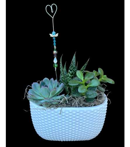 'By Design' Succulents and Sparkle. An arrangement by Flowers By Design.