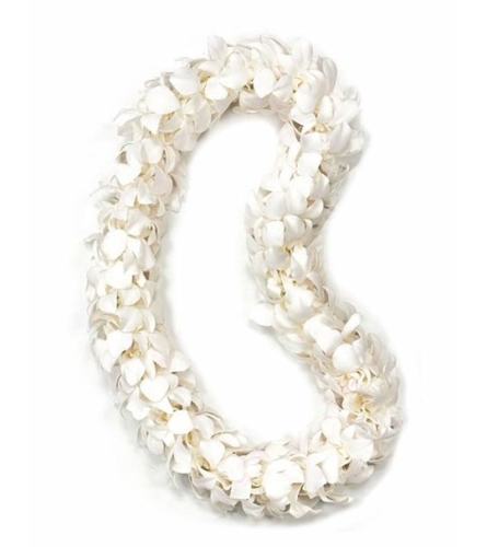 White Double Orchid Lei. An arrangement by Tangled Lilac Flowers and Gifts.