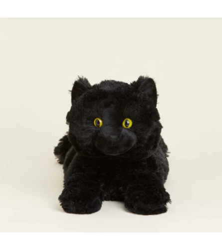 Black Cat Warmies. An arrangement by Love Floral.
