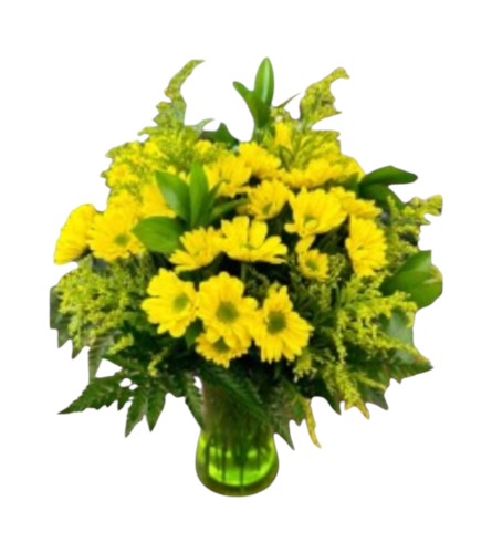 Yellow daisy dream. An arrangement by DMP Flowers and Gifts.