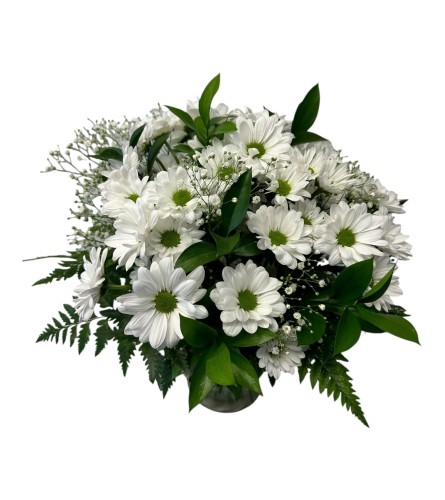 Skipping through the daisies. An arrangement by DMP Flowers and Gifts.