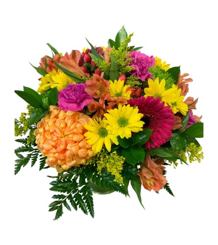 Rainbow. An arrangement by DMP Flowers and Gifts.