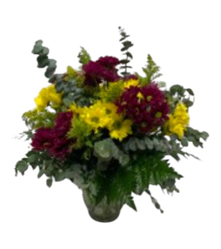 Dreamy daisies. An arrangement by DMP Flowers and Gifts.