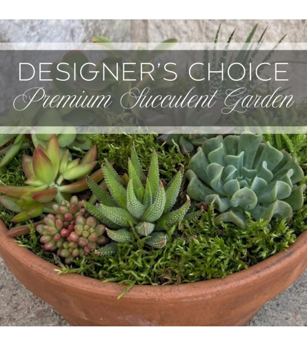 Designer's Choice Premium Succulent Gardens. An arrangement by The Greenhouse Florist.