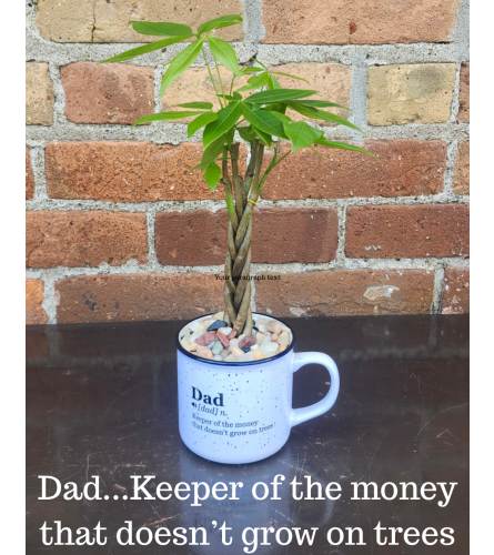 'By Design' Fathers Day Money Tree. An arrangement by Flowers By Design.