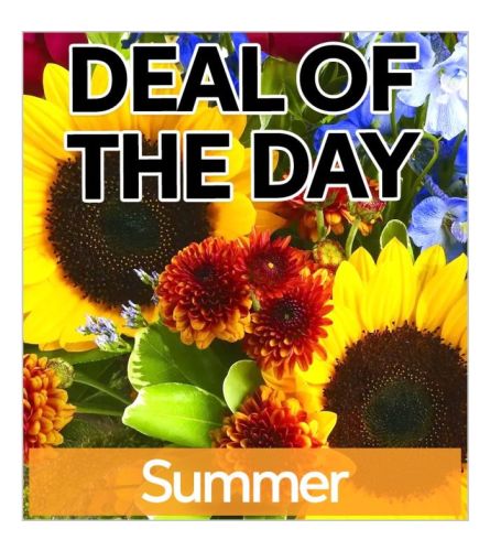 ☀️ Summer Blooms Mixed Arrangement – Special. An arrangement by Rocio Flower Shop.