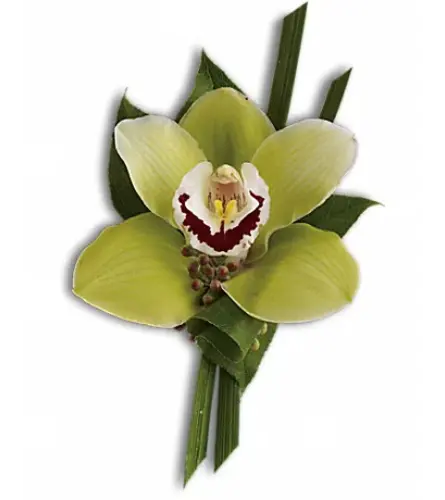 Green Orchid Boutonniere. An arrangement by Very's Flowers.