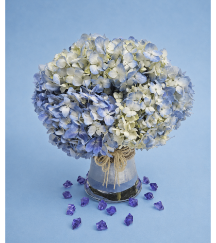 Sky Blues Hydrangeas. An arrangement by Brickell Glamour Flowers.