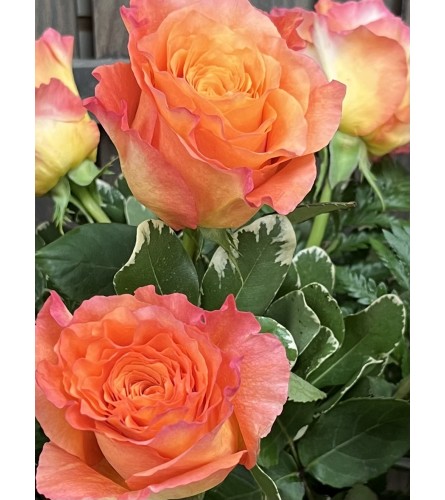Free Spirit Roses - Deluxe. An arrangement by Deep Creek Floral.
