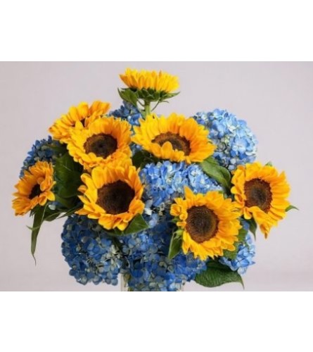 BLUE HYDRANGEA and SUNFLOWERS. An arrangement by Flowers by Priscilla.