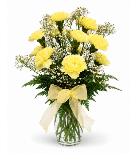 Sunny Sentiments Carnation Vase. An arrangement by Balloon Bouquets Plus.