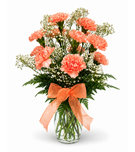 Warm Wishes Carnation Vase. An arrangement by Balloon Bouquets Plus.