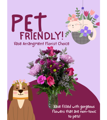 Pet Friendly Florist Choice - Deluxe. An arrangement by Osborne Florist.