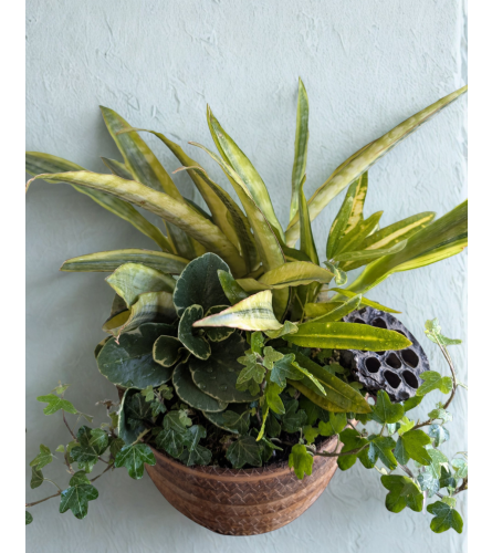 Green Haven. An arrangement by Osborne Florist.