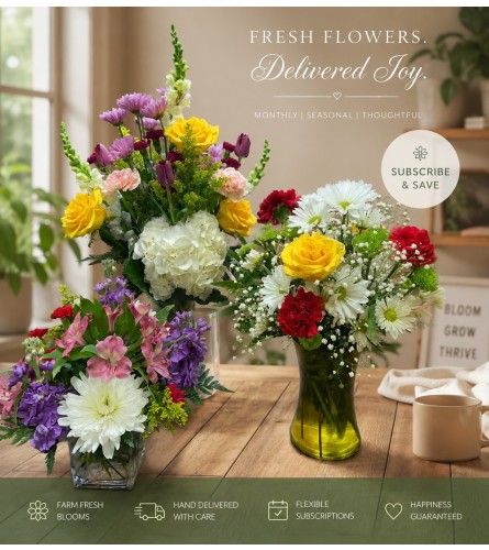 BLOOMS SUBSCRIPTION. An arrangement by Fink Flowers Gifts and Flower Delivery.