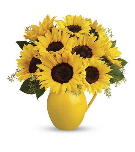 Teleflora Sunny Day Pitcher of Sunflowers - Deluxe. An arrangement by Marivel's Florist and Gifts.