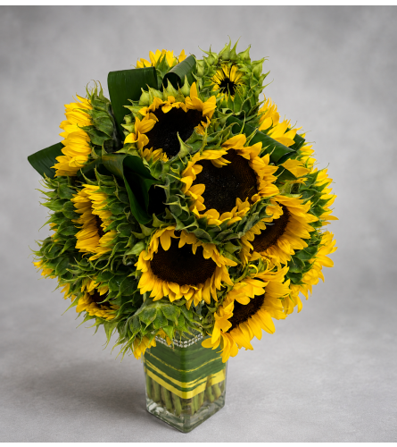 Radiant Sunflowers - Deluxe. An arrangement by Doral Flower District and Design.