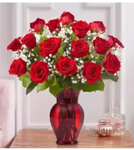 One Dozen Red Roses Summer Special. An arrangement by Brickell Ave Florist.