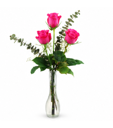 Three Hot Pink Roses. An arrangement by Balloon Bouquets Plus.