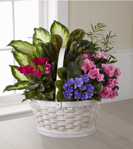 The FTD Peaceful Garden Planter. An arrangement by Fendley Florists.