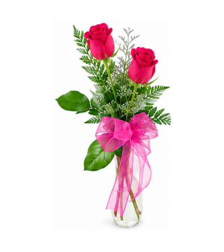 Better Together – Two Hot Pink Roses. An arrangement by Balloon Bouquets Plus.