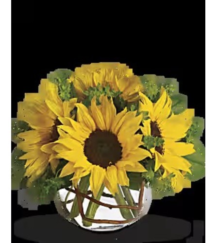 Golden Glow Gift. An arrangement by Leland Florist.
