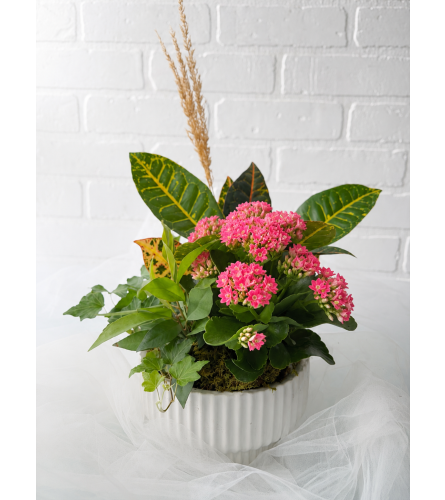 White Tapered Pop of Pink Planter. An arrangement by Brooklin Floral and Garden Shoppe Inc..