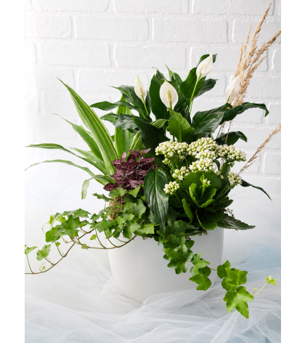 The Green Goddess Planter. An arrangement by Brooklin Floral and Garden Shoppe Inc..