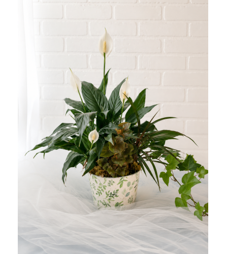 Garden Poetry Mixed Planter. An arrangement by Brooklin Floral and Garden Shoppe Inc..