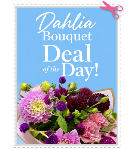 Dahlia Bouquet Deal of the Day - Deluxe. An arrangement by Brooklin Floral and Garden Shoppe Inc..