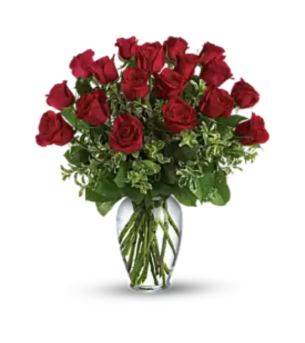 One Dozen Red Roses Fall Special. An arrangement by Brickell Ave Florist.