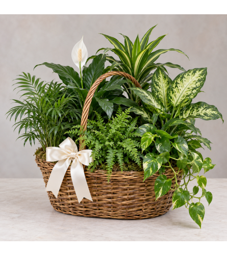 LARGE SYMPHATHY DISH GARDEN BASKET - Deluxe. An arrangement by EverBlooming Luxe Designs.