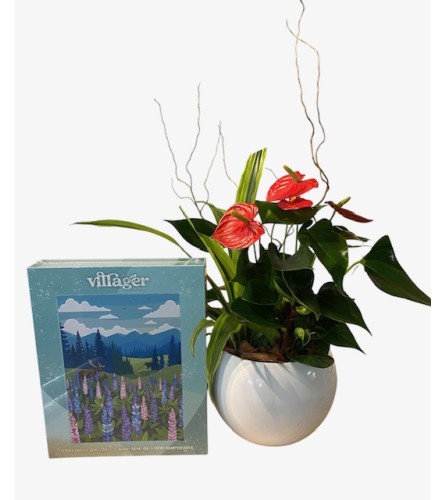 I'm Puzzled?. An arrangement by Loyalist Flowers.