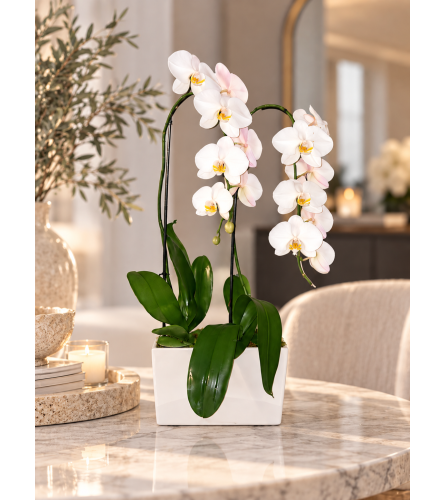 Opulent Double Orchid Custom. An arrangement by Flowers by Yasmin.