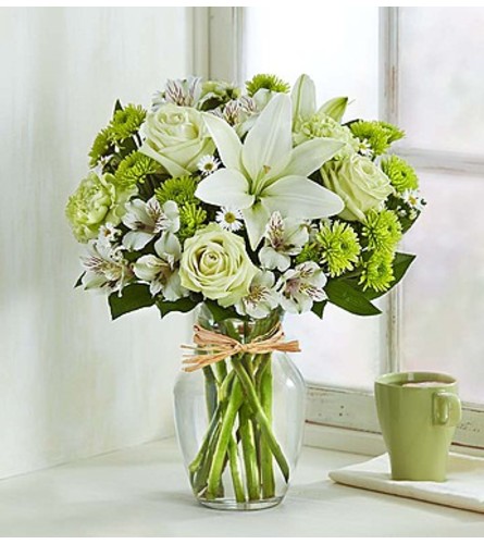 Serene Green™
