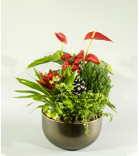 Forest Delight. An arrangement by Westdale Florist.