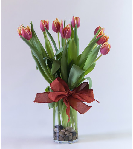 Valley of Tulips