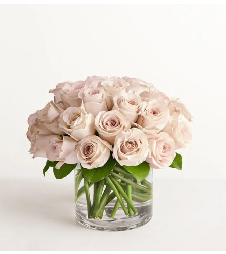 Contemporary Sand Roses™ - Deluxe. An arrangement by Flowers of Jacksonville.